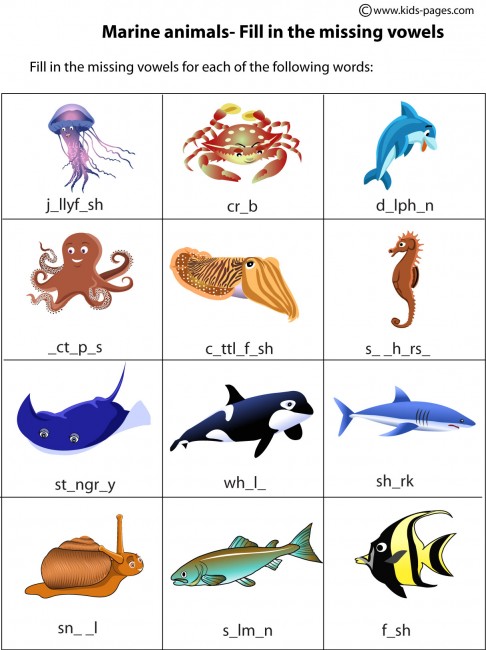 Marine Animals